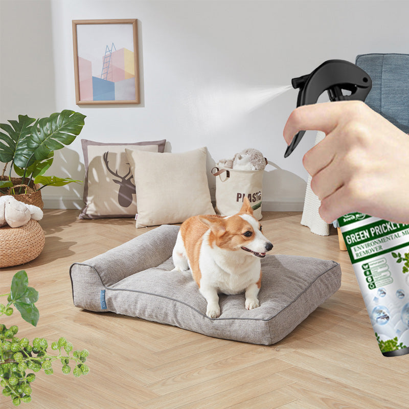 🔥 KAUF 2 ERHALT 3! 🐛 POWER-INSEKTENSPRAY - Sofortige Wirkung gegen Fliegen/Mücken, Geruchsneutral & Hautfreundlich, Ideal für Haus und Garten 🌿🧴