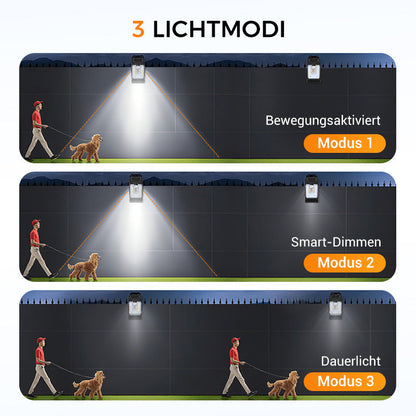 ✨ Jetzt 2 kaufen, 1 gratis erhalten!🌿 Solar-Clip-Leuchte mit Bewegungssensor – Ideal für Garten, Balkon & Terrasse! 🏡