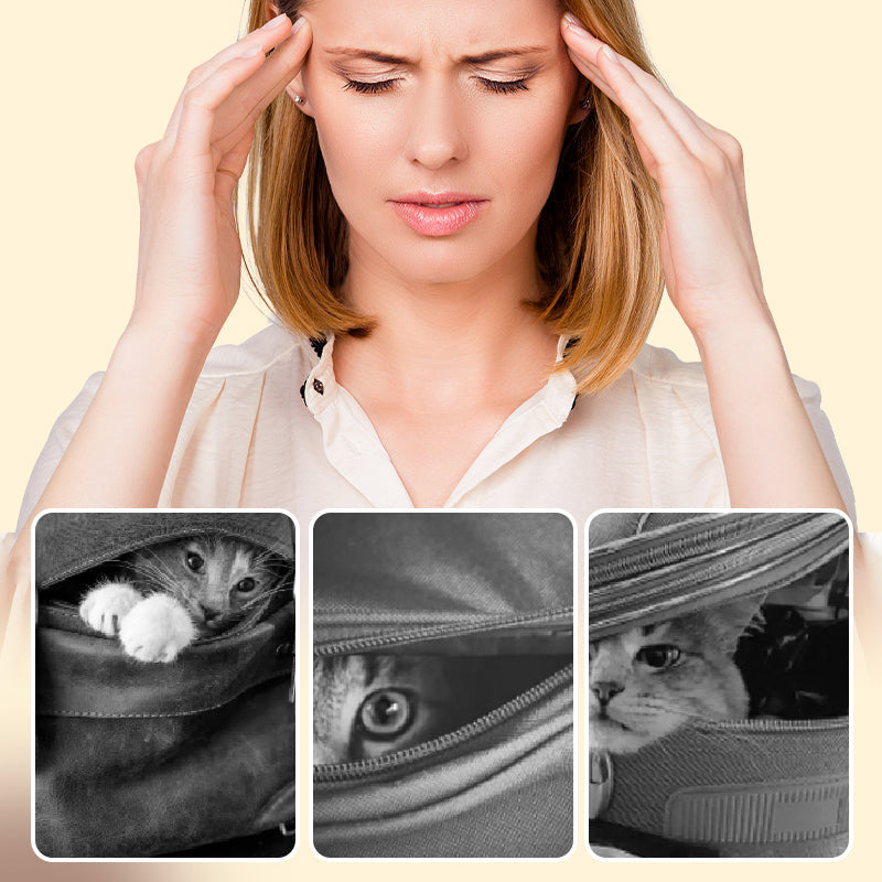 ⏳Begrenzte Zeit 50% Rabatt💥Niedliche tragbare Outdoor-Schultertasche für Haustiere