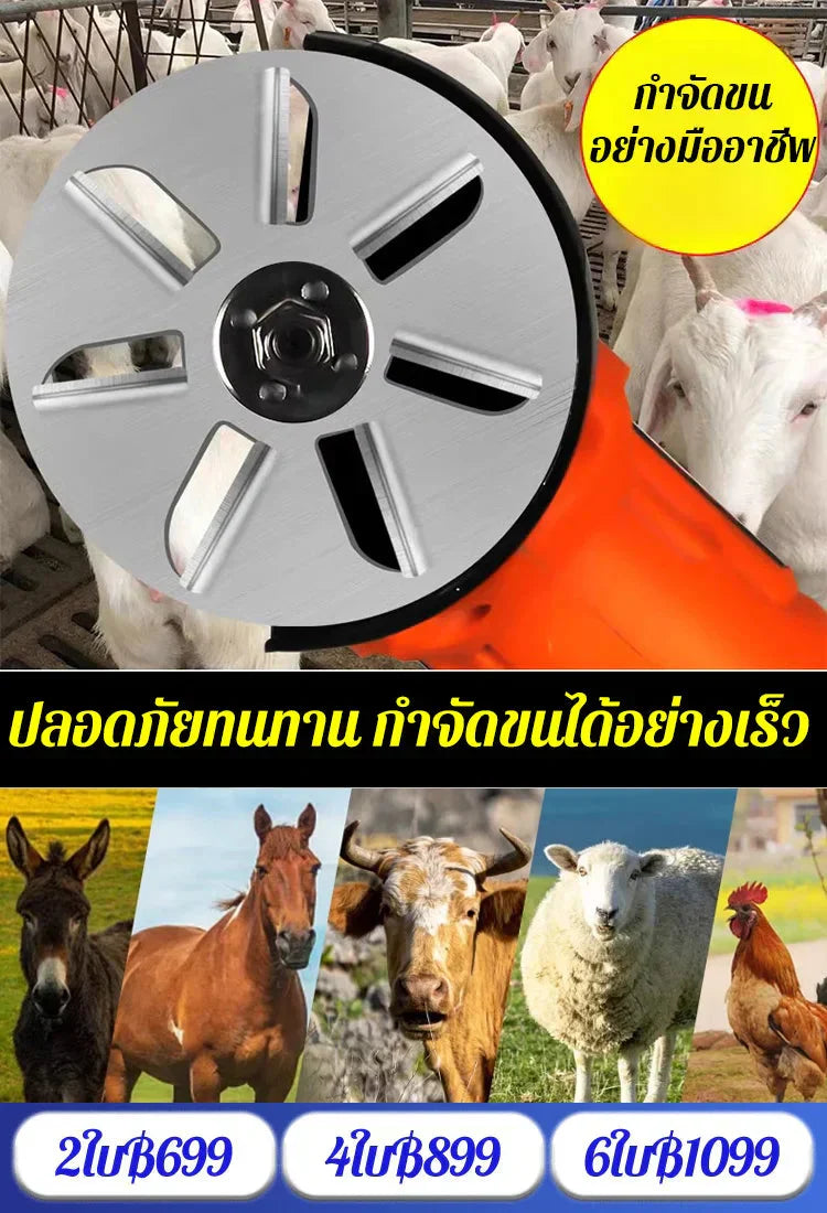 Arbeitssparende Schweinehaarentferner-Schaberscheibe